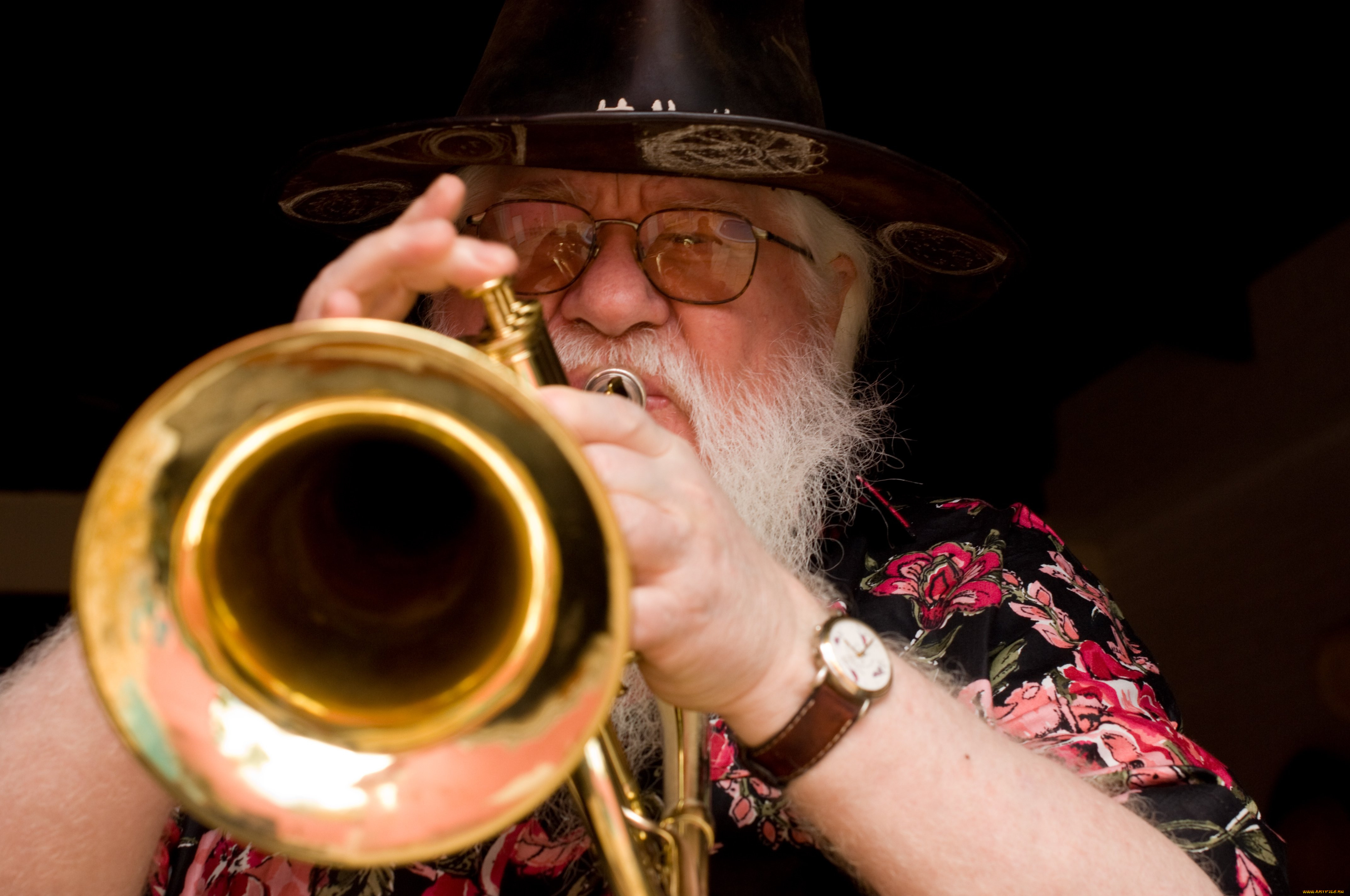 hermeto pascoal, , 